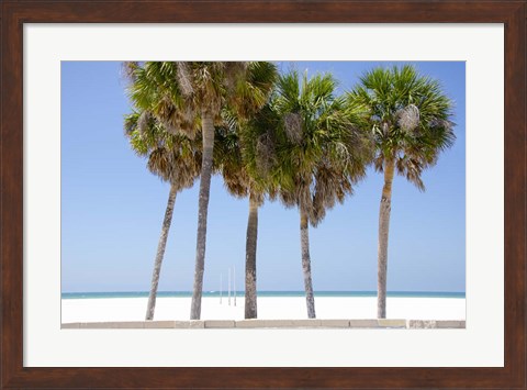 Framed Coastal Palms I Print