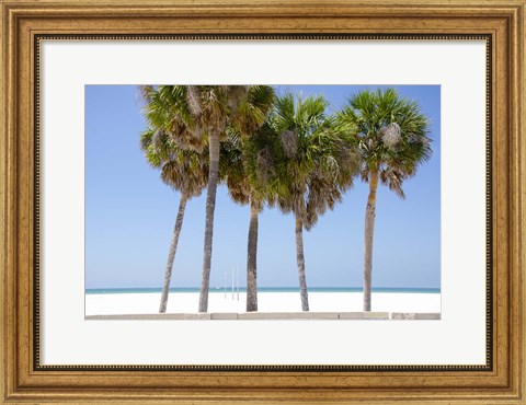 Framed Coastal Palms I Print