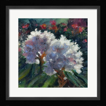 Framed Rhododendron Portrait I Print
