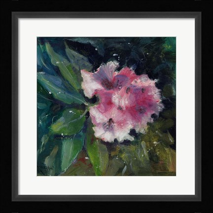 Framed Rhododendron Portrait II Print