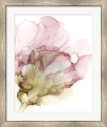 Framed Flowering Pink II Print