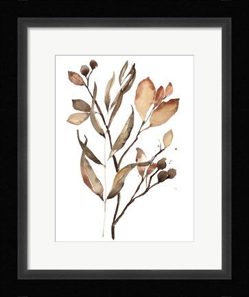 Framed Autumn's Bundle II Print