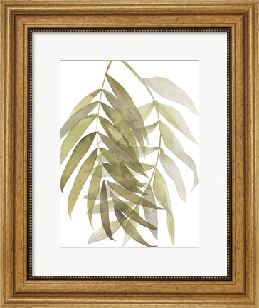 Framed Palm Embrace II Print