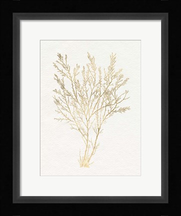 Framed Gilded Algae I Print