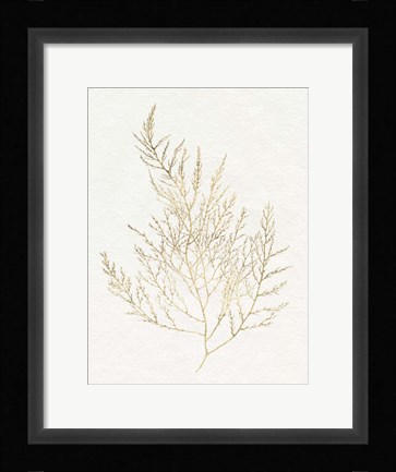 Framed Gilded Algae II Print