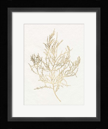 Framed Gilded Algae III Print