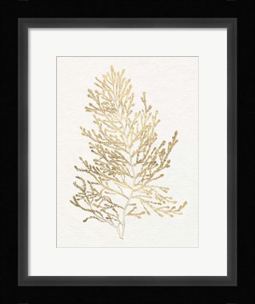Framed Gilded Algae IV Print