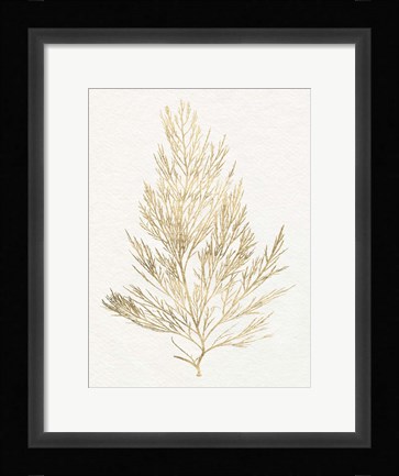 Framed Gilded Algae V Print