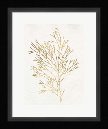 Framed Gilded Algae VII Print