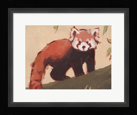 Framed Red Panda I Print