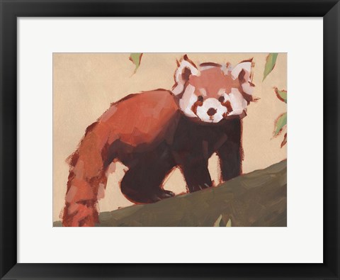 Framed Red Panda I Print