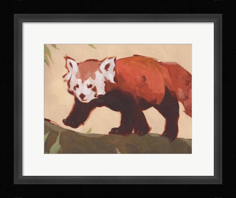 Framed Red Panda II Print