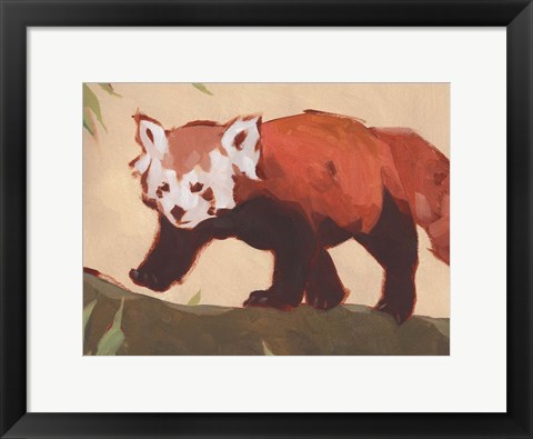 Framed Red Panda II Print