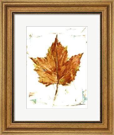 Framed Autumn Leaf Study I Print