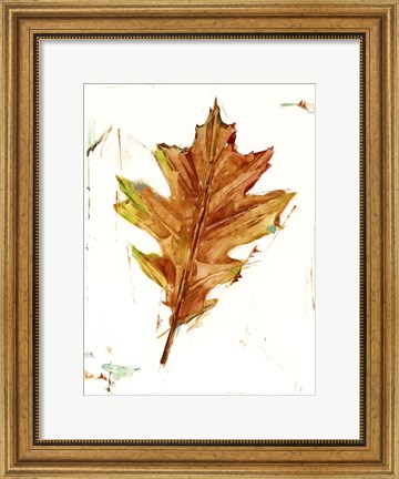 Framed Autumn Leaf Study II Print