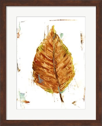 Framed Autumn Leaf Study III Print