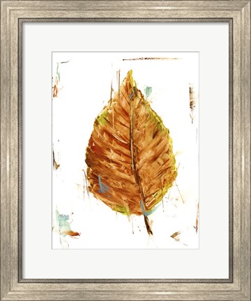 Framed Autumn Leaf Study III Print