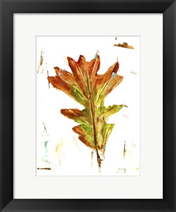 Framed Autumn Leaf Study IV Print
