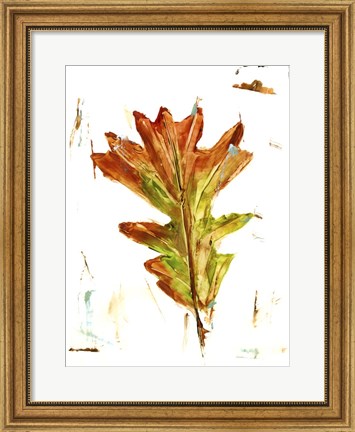 Framed Autumn Leaf Study IV Print