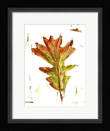 Framed Autumn Leaf Study IV Print