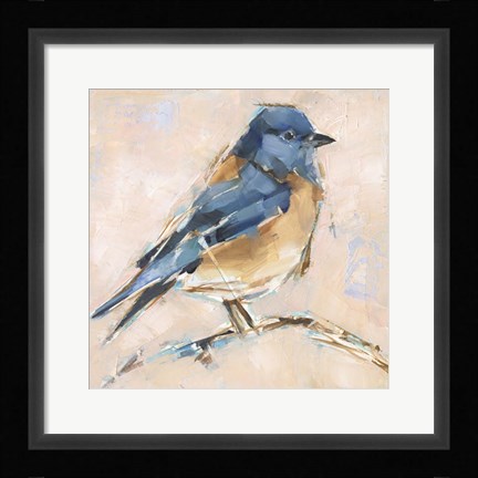 Framed Bird Variety III Print