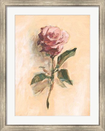 Framed Painterly Rose Study II Print