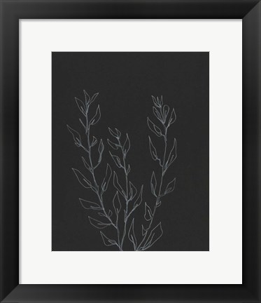 Framed Simple Stalk II Print