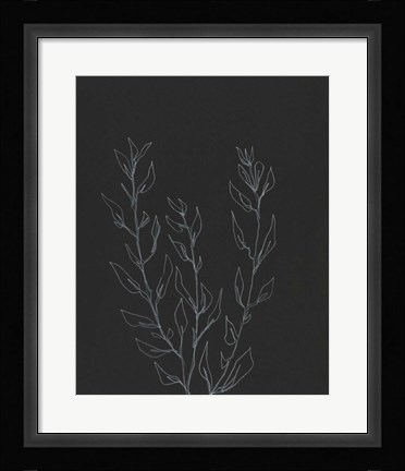 Framed Simple Stalk II Print