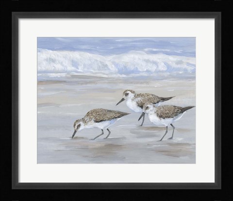 Framed Sandpipers II Print