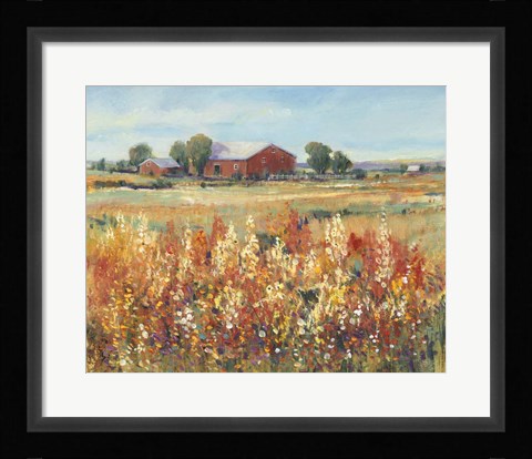 Framed Country View II Print