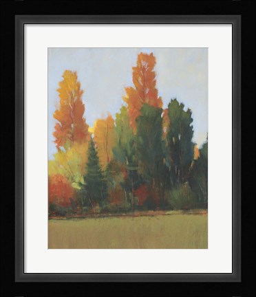 Framed Fall Colors I Print
