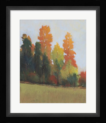 Framed Fall Colors II Print