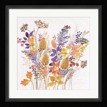 Framed Dried Arrangement II Print