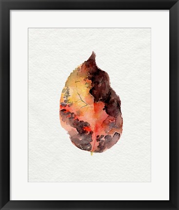 Framed Watercolor Autumn Leaf I Print