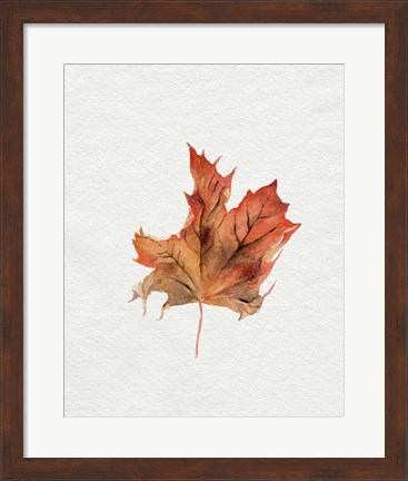 Framed Watercolor Autumn Leaf II Print