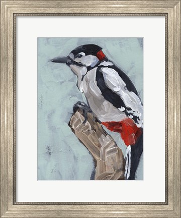 Framed Woodpecker Paintstrokes I Print