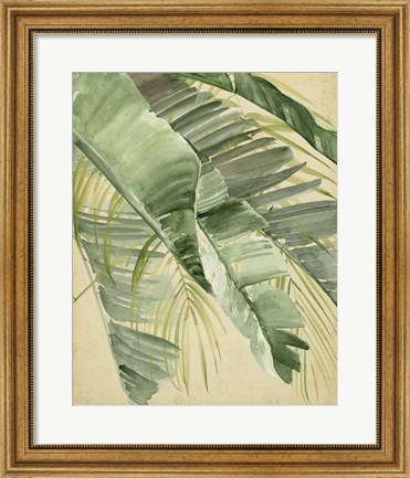 Framed Banana Palms I Print