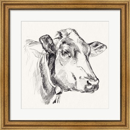 Framed Holstein Portrait Sketch I Print