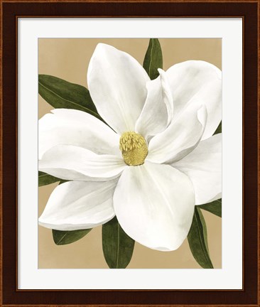 Framed Magnolia on Gold I Print