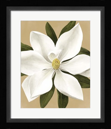 Framed Magnolia on Gold II Print