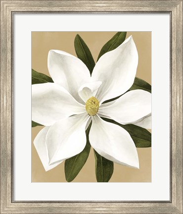 Framed Magnolia on Gold II Print