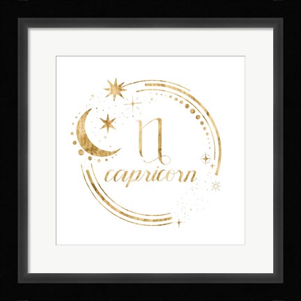 Framed Gilded Astrology X Print