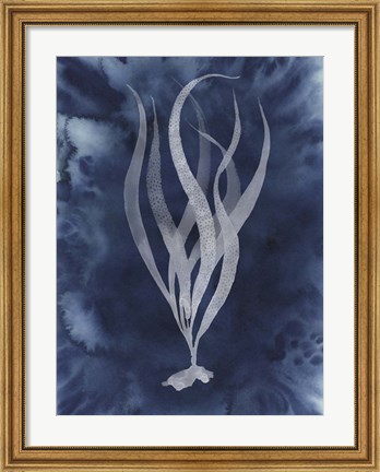 Framed Midnight Kelp I Print