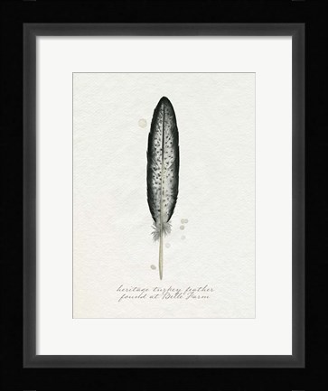 Framed Found Feather II Print