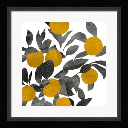 Framed Shadow Branch III Print