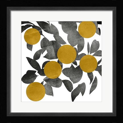 Framed Shadow Branch IV Print