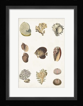 Framed Antique Coastal Chart I Print