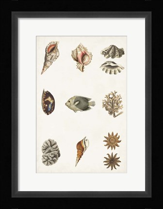 Framed Antique Coastal Chart II Print