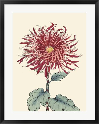 Framed Chrysanthemum Woodblock I Print