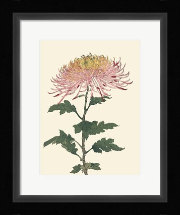 Framed Chrysanthemum Woodblock II Print